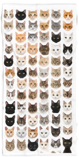 Cat Faces  Beach Towels