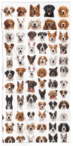 Dog Faces Beach Towels