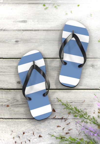 Blue Stripe Flip Flops